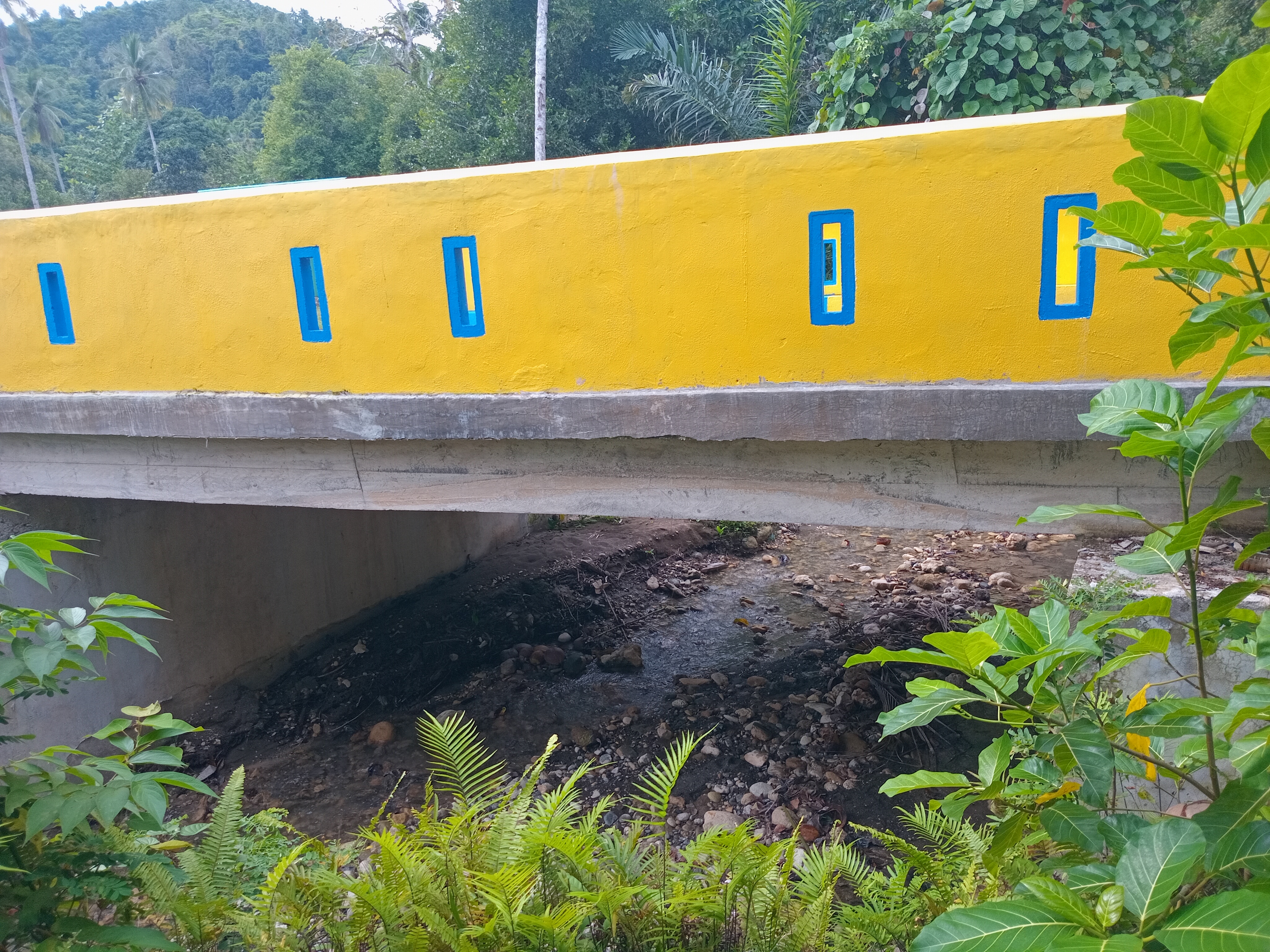 Survei Kondisi Jembatan Ake Banemo VII